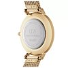 Dámské hodinky DANIEL WELLINGTON DW00100348 - Petite Evergold 32mm