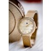Dámské hodinky TOMMY HILFIGER 1782699 Demi (zf609a) + BOX (Barva (varianta) tay-55624-uniw)