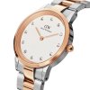 Dámské hodinky DANIEL WELLINGTON DW00100358 - ICONIC LINK LUMINE 32mm (zw510a)