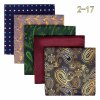 Sada 5 kapesníků – elegantní hedvábný design pro muže (Barva (varianta) HSET2-76)