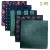 Sada 5 kapesníků – elegantní hedvábný design pro muže (Barva (varianta) HSET2-76)