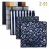 Sada 5 kapesníků – elegantní hedvábný design pro muže (Barva (varianta) HSET2-76)