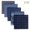 Sada 5 kapesníků – elegantní hedvábný design pro muže (Barva (varianta) HSET2-76)