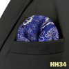 Pánský kapesníček – elegantní paisley vzor do saka (Barva (varianta) FH24)