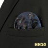 Pánský kapesníček – elegantní paisley vzor do saka (Barva (varianta) FH24)
