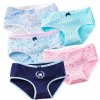Dámské bavlněné kalhotky – sada 5 ks (Barva (varianta) 10, Velikost L)