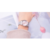 Hodinky Casio Damski LTP-1335D-4A + BOX