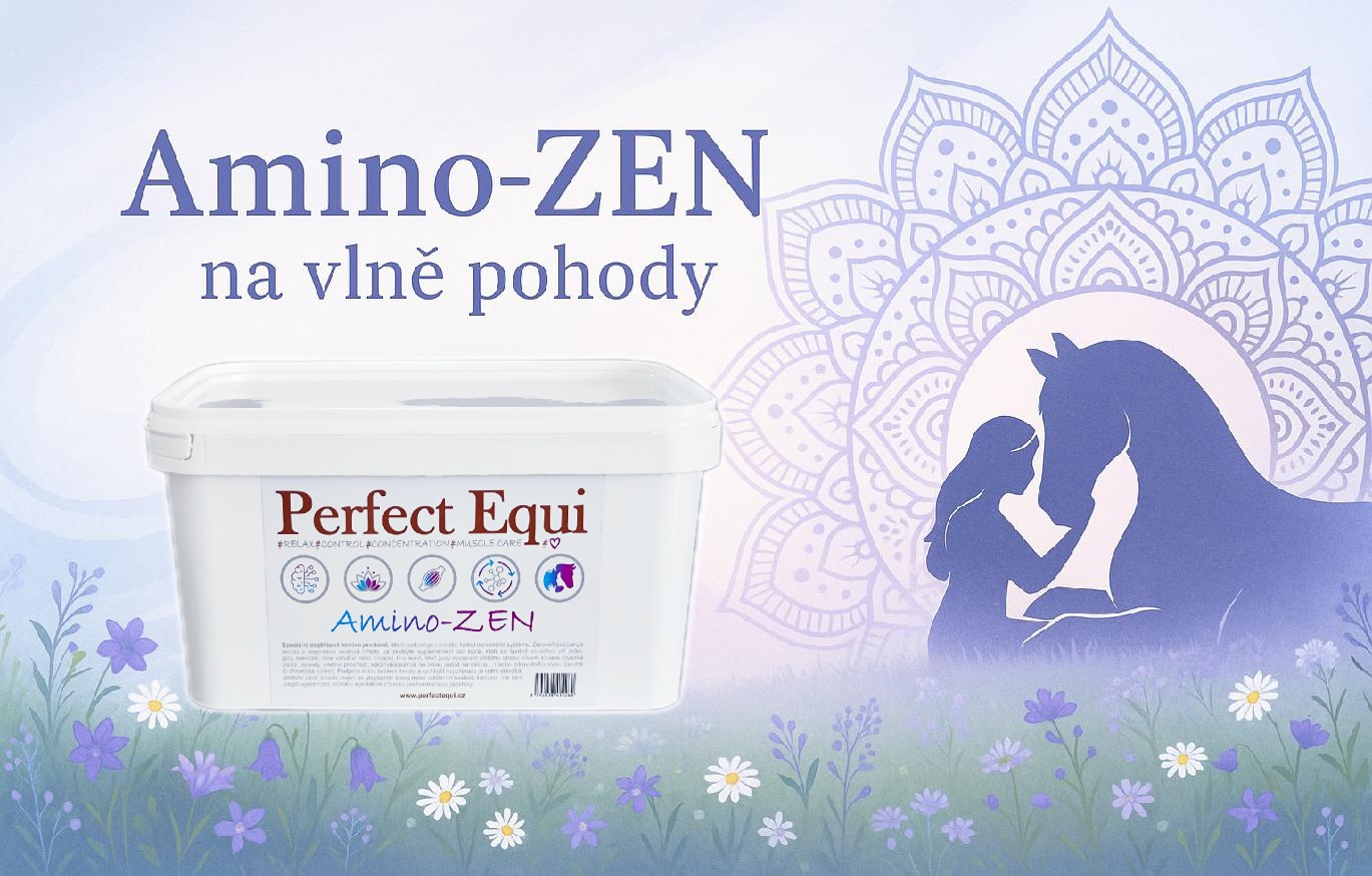 Perfect Equi Amino-ZEN