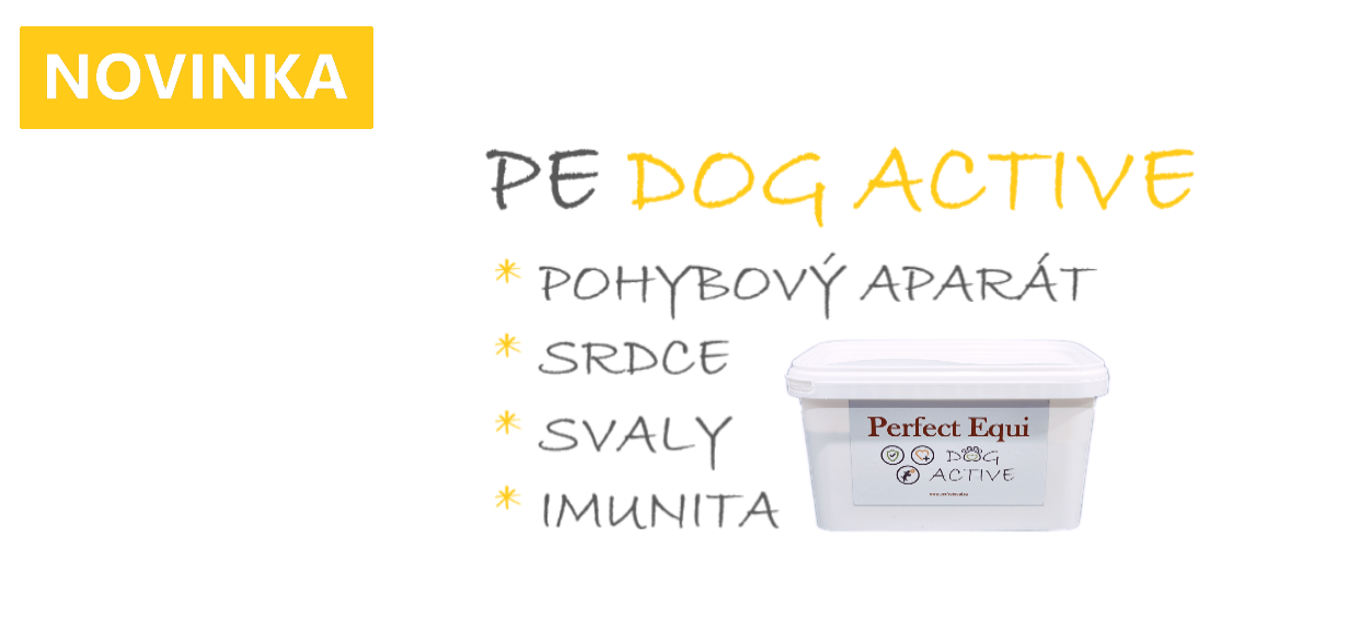 NOVINKA - Perfect Equi DOG ACTIVE