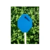 59 12 ipsc 01
