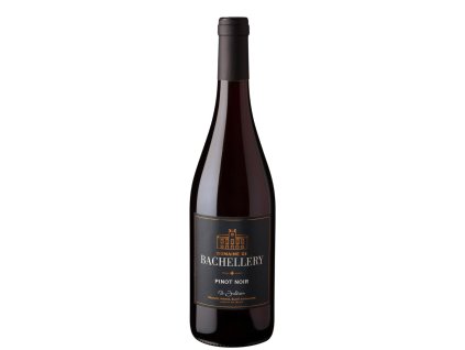 Pinot noir Bachellery