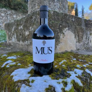 Malbec Domaine de Mus – jemný a příjemně pitelný styl Malbecu Malbec, který překvapí svou lehkou a nenásilnou povahou....