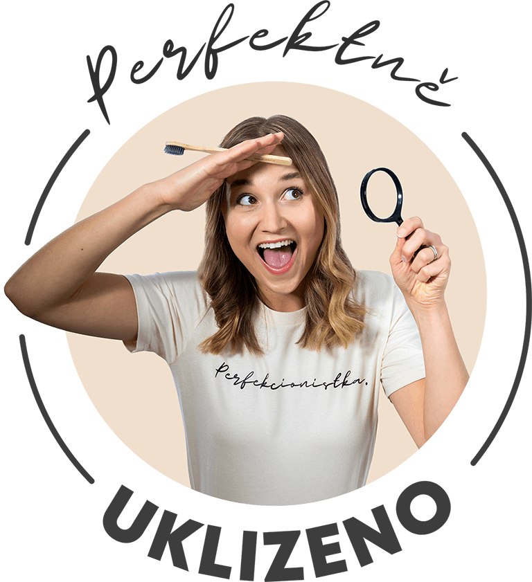 Perfektneuklizeno.cz
