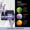 Dárková sada péče o tělo - 4 ks | Goodness Sleep - Levandule & Bergamot