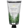 Krém na ruce - 75 ml | Severská borovice