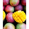 Přírodní koncentrát na ochucení vody | Mango & Passion Fruit