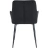 Jídelní židle / křeslo Ferndale - samet | černá