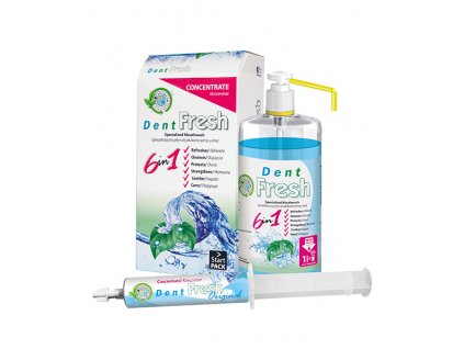 DENT FRESH zestaw ORIGINAL