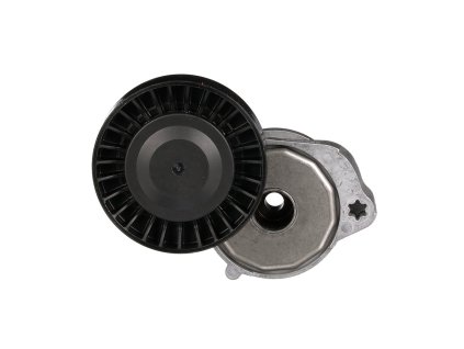 Accessory Belt Tensioner Lower FORD FOCUS ST225 (Genuine)