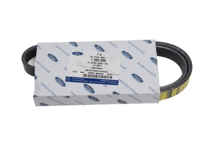 V-belt No.1 FORD FOCUS ST225 (Original)