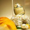 d´Annam • Mango Sticky rice