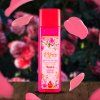 Kifra Roses Square 1024x1024 2