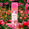Kifra Square 2000px Pink EN