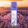 Lavanda Kifra Scene EN Square