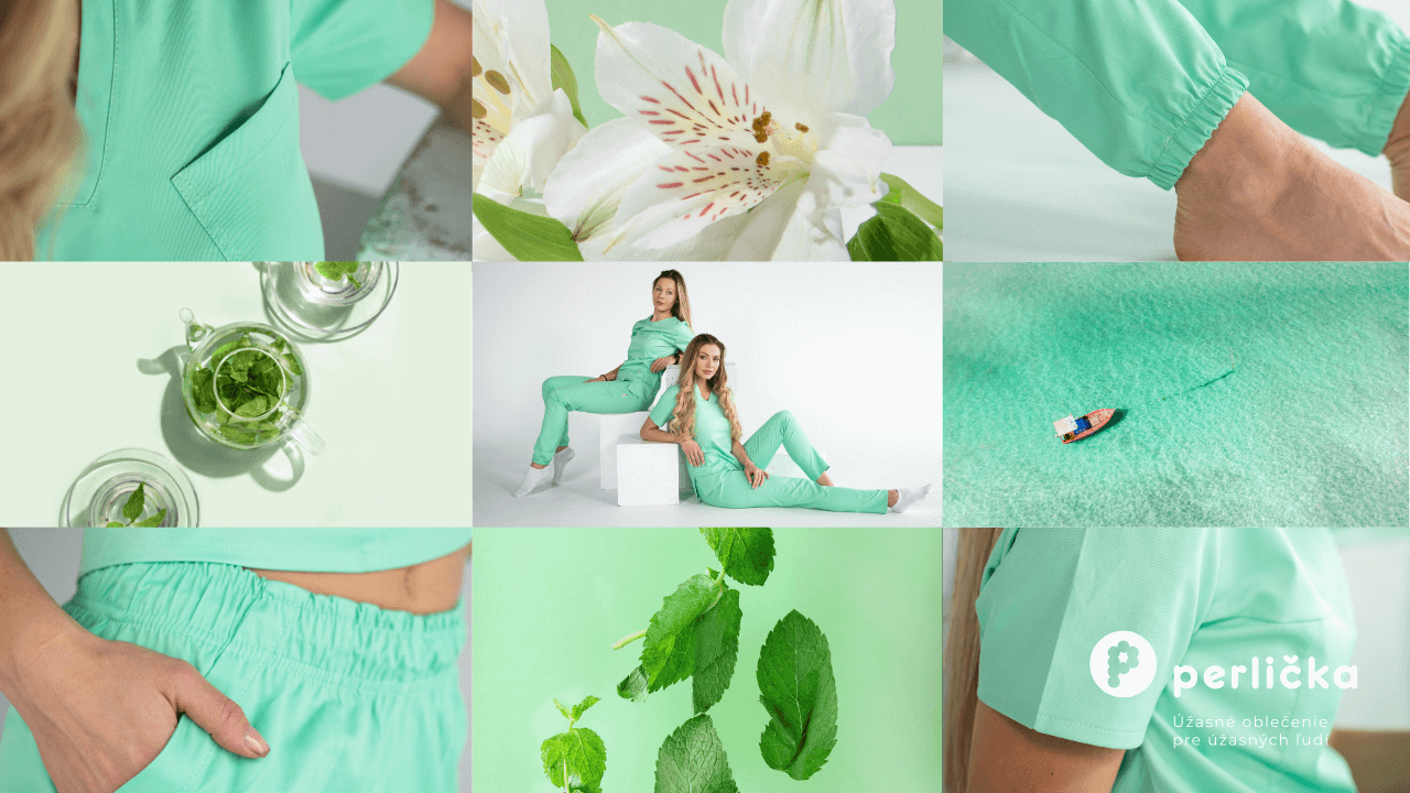 Máta – barva měsíce: Svěžest, harmonie a zdravotní benefity