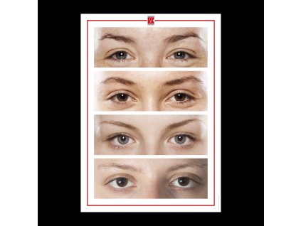 swiss color realistic uebungsmatte braue lid 1237