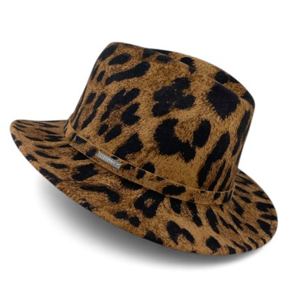 81ce8a851da3da6cbe141cd7a07ee1f2