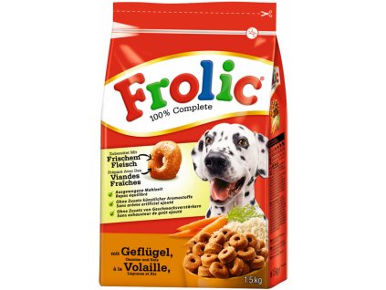 frolik dr
