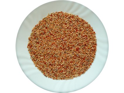 andulka classic kopirovat 9xiat03qxv