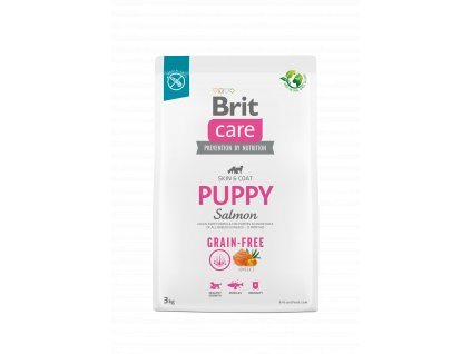3kg GF Puppy