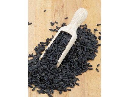 Black Sunflower Seeds scoop scaled e1607345842938