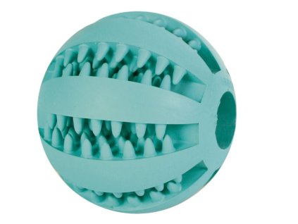 denta mic