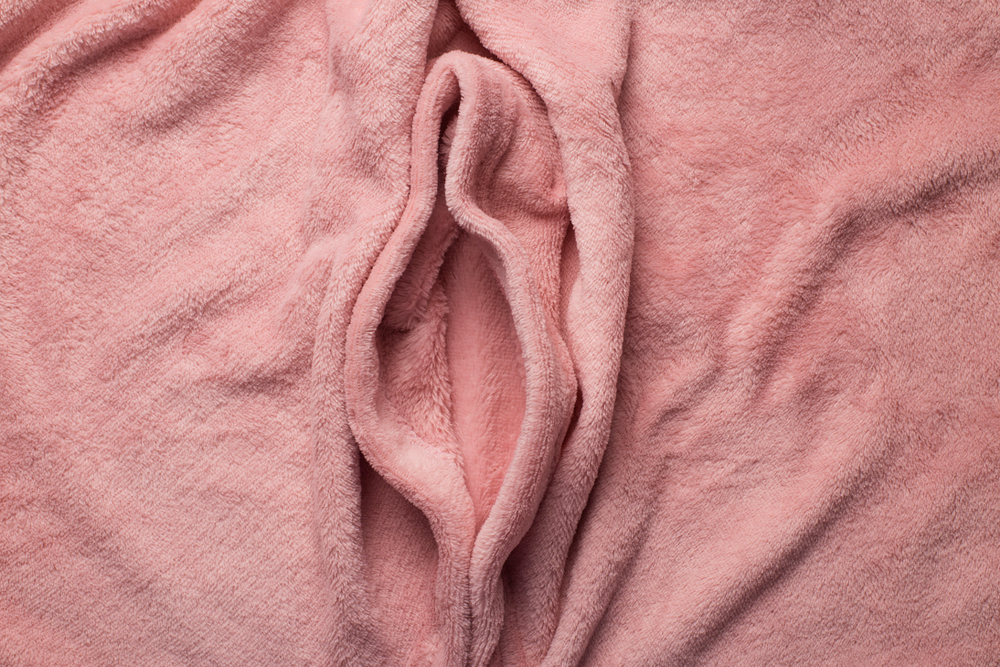 vulva