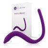 pelvic wand original