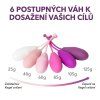 Kegel weights popis