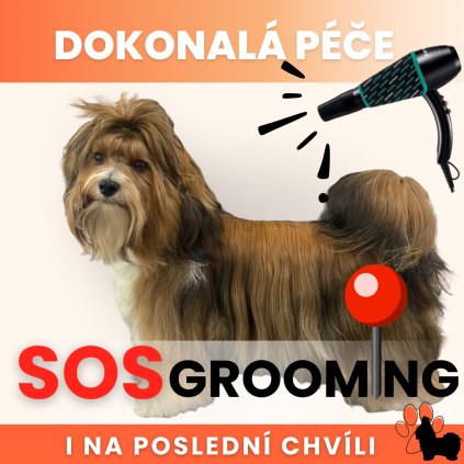 SOS Grooming Point (výstava, den KV KCHHP)