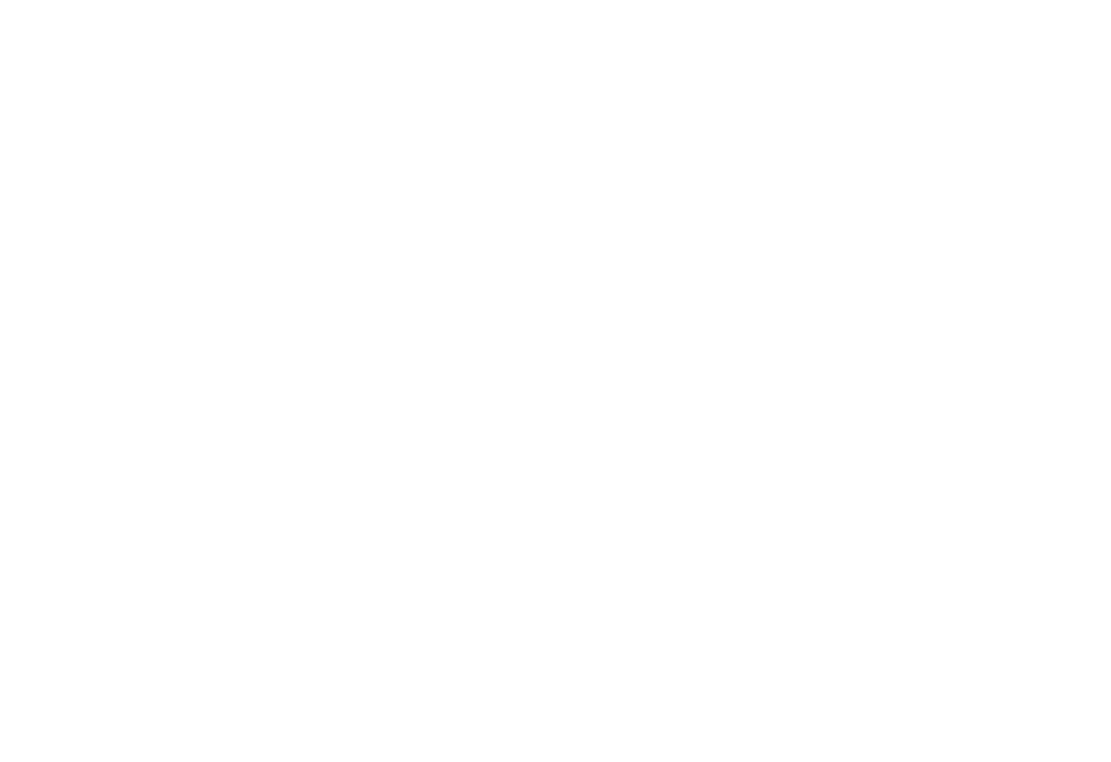 PESCH - motorsport