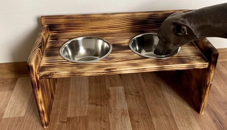 5 nejhezčích designových stojanů na misky pro psy