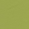 Kůže Prince 183 - zelená