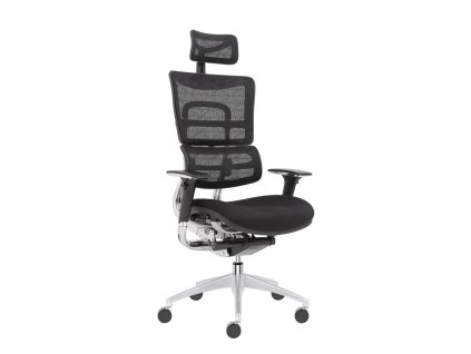 ERGOHUMAN C XL 2