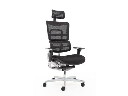 ERGOHUMAN C XL 3