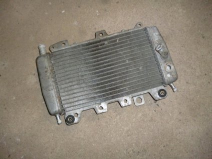 12342 chladic piaggio