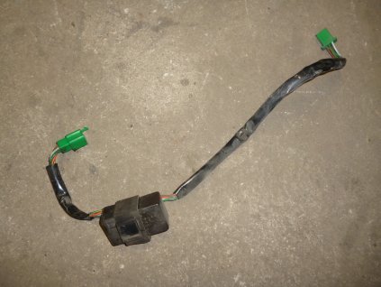 P1300384