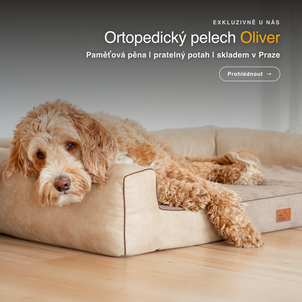 Ortopedický pelech Oliver