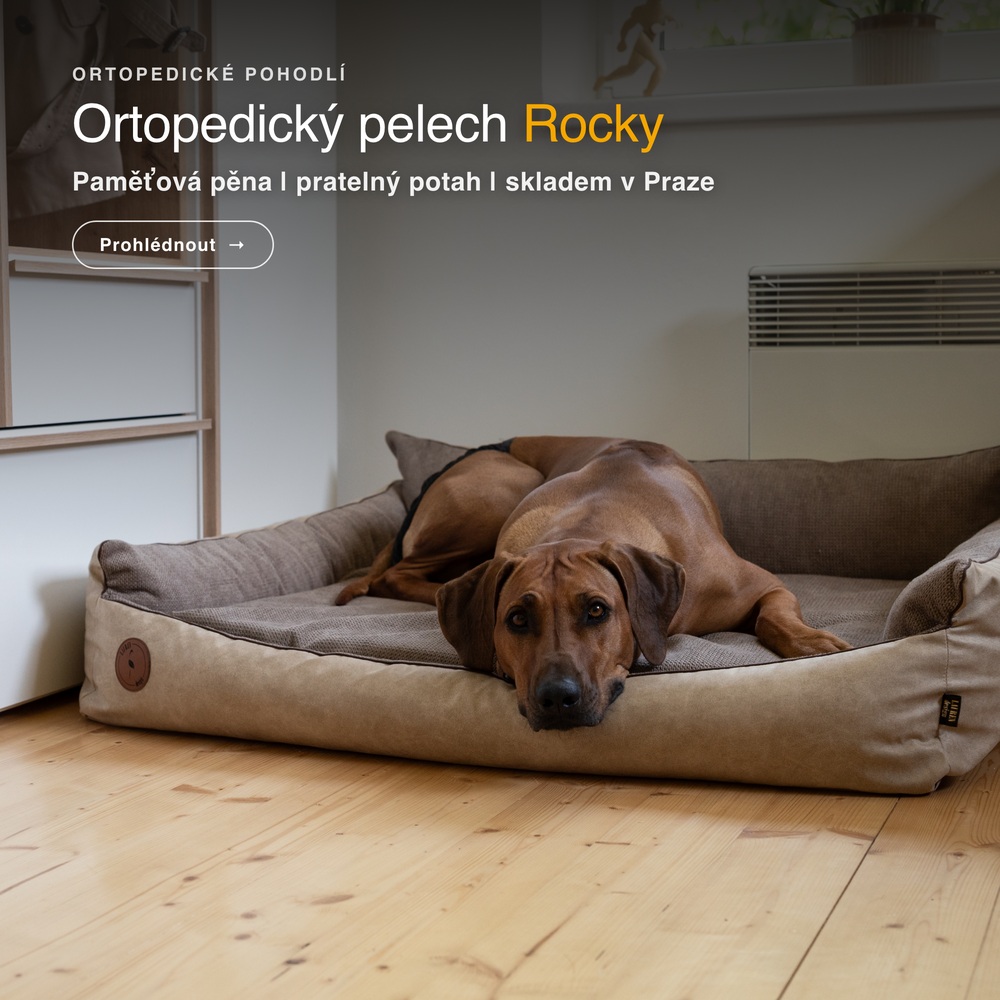 Ortopedický pelech Rocky
