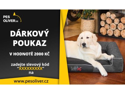 darkovy kupon 2000